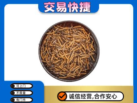 博尔塔拉州精河县礼品回收虫草.jpg